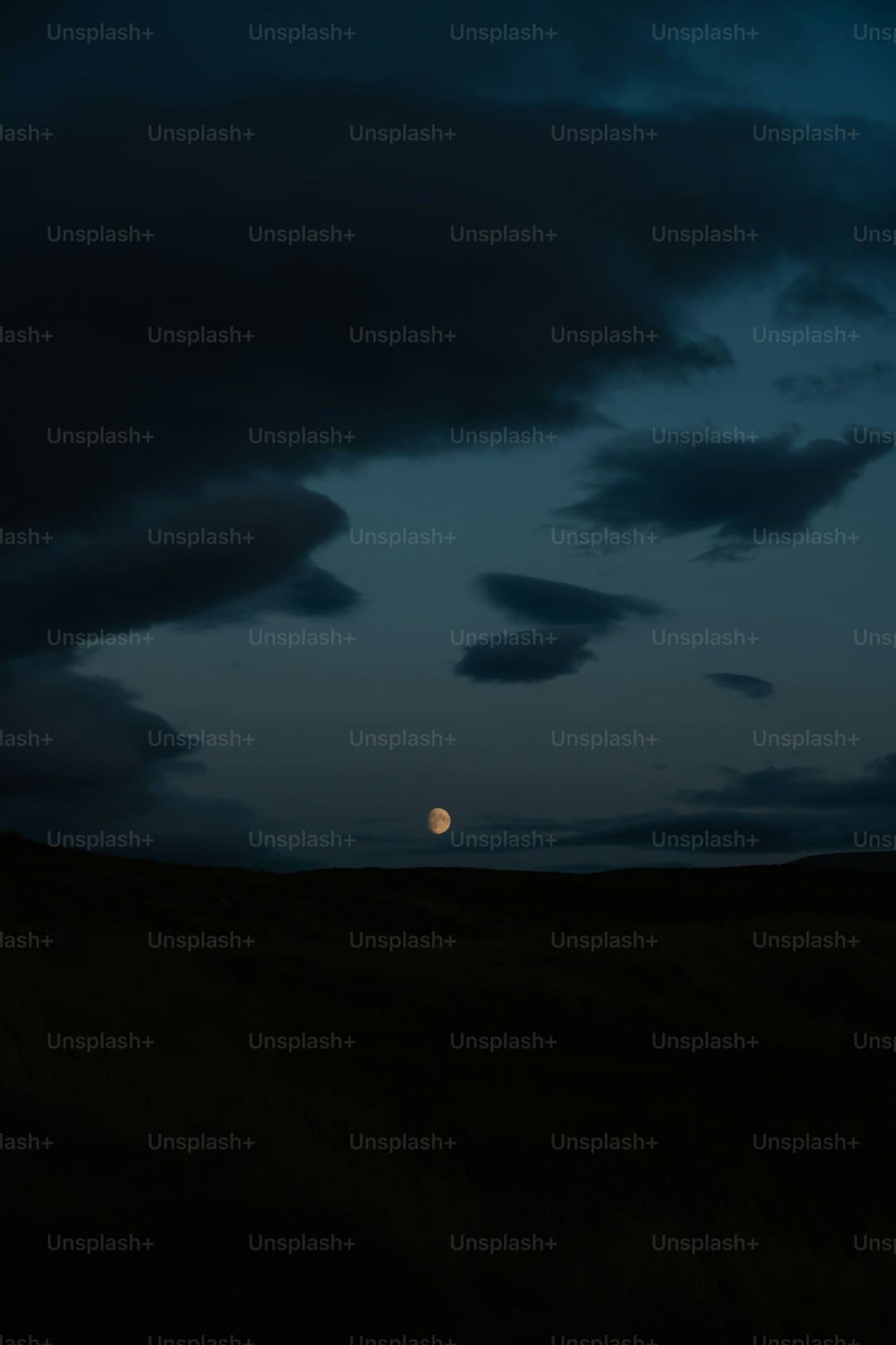 https://picture01.52hrttpic.com/image/infoImage/202504/14/g41cb18f705194036ac89c3e78b79c584.jpeg?1080x736
